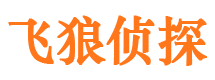 元阳飞狼私家侦探公司